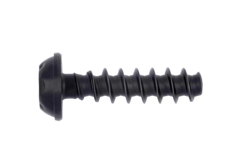 Skruv för plast med kullrigt huvud och fläns